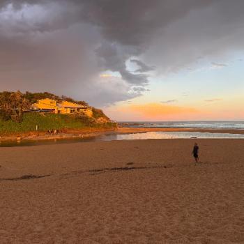 NORTH CURL CURL