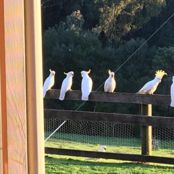 YACKANDANDAH 