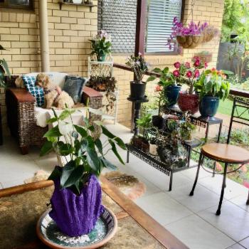BUDERIM
