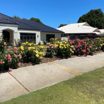 HENLEY BROOK 