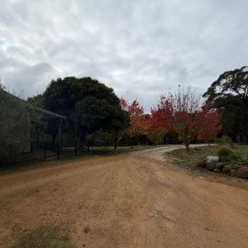 ROSS CREEK