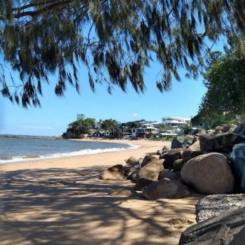 WOODY POINT 