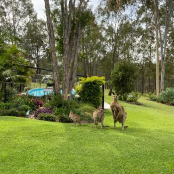 WATERVIEW HEIGHTS