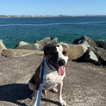 Mooloolaba