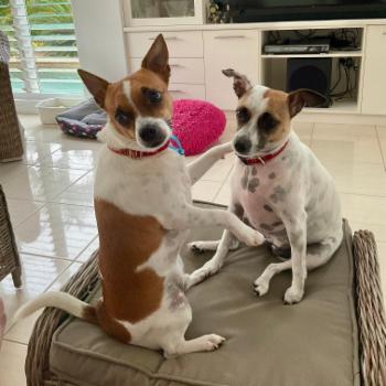 DUNDOWRAN BEACH