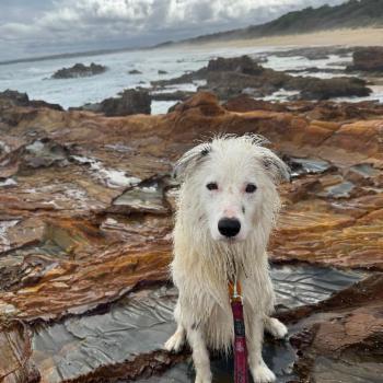 MALLACOOTA 