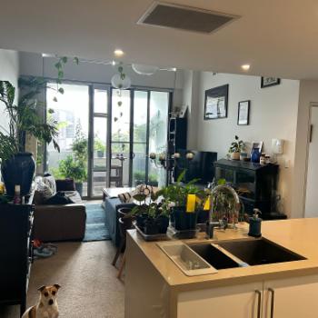GLADESVILLE