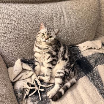 BERWICK