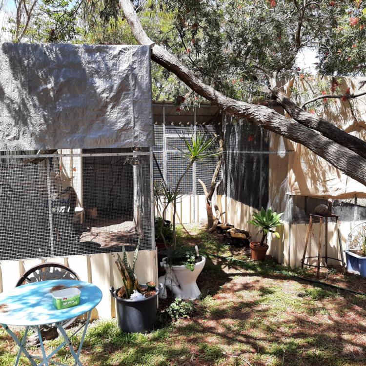 The House Sitters Assignment KALAMUNDA Western Australia